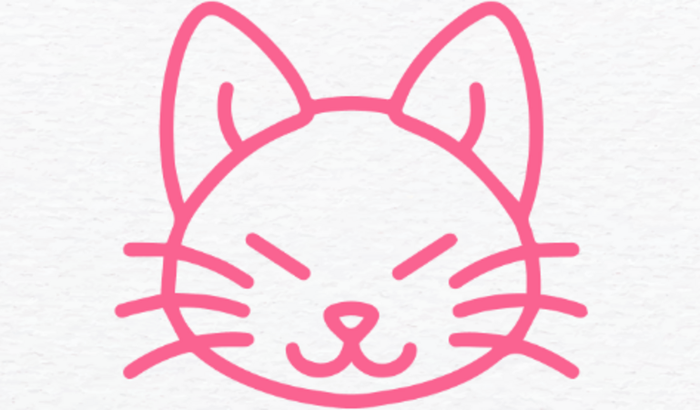 Ajude 21 gatinhos resgatados