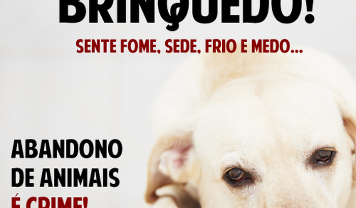 Nos ajude para continuarmos ajudando.