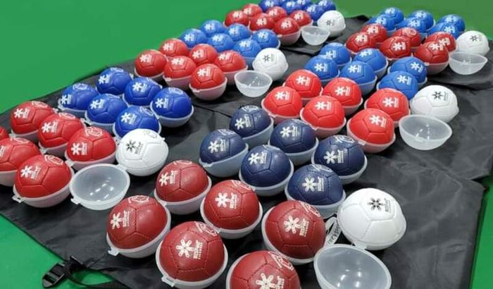 Compra de bolas licenciadas de Bocha Paralímpica 