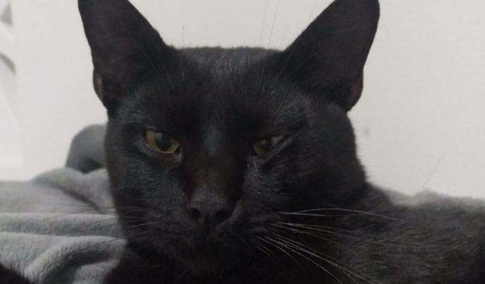 Ajuda para o Theozinho