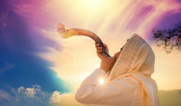 Confraternização Netsarim