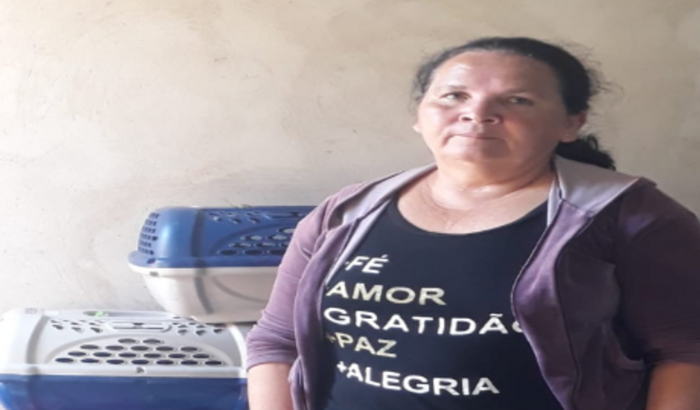 Construção de abrigo: animais abandonados no Grajaú - Sra ELIANE