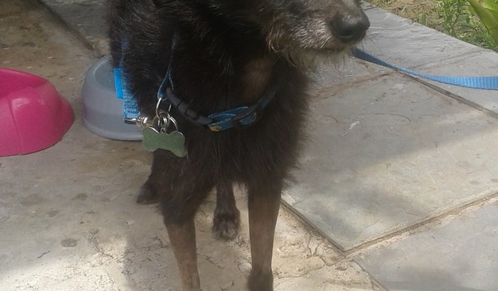 ZITO 