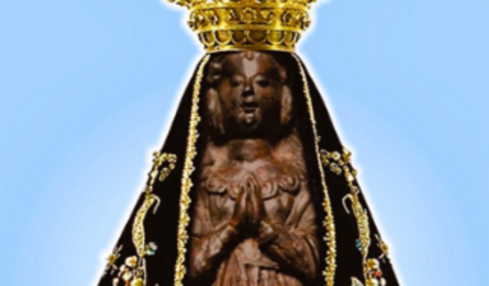 Me ajude a publicar meu livro