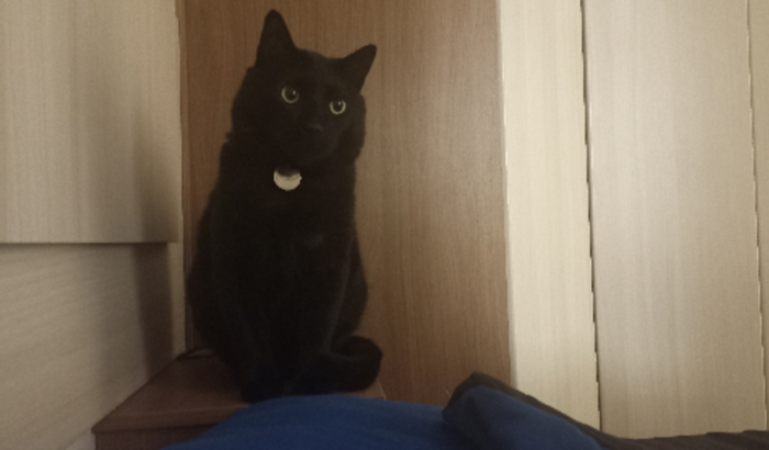 Ajuda para o tratamento do Sissel