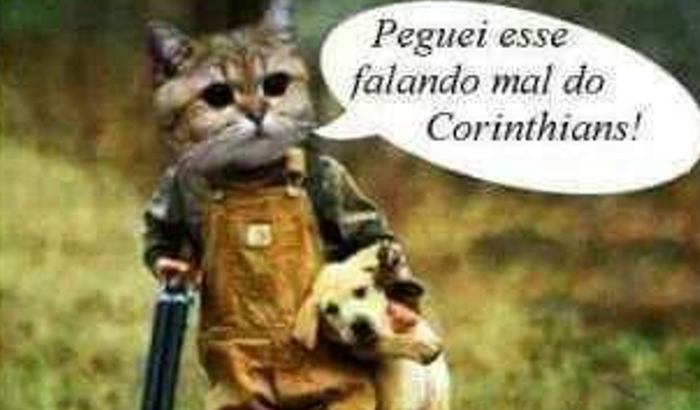 Comprar uma câmera  p/ o meu canal