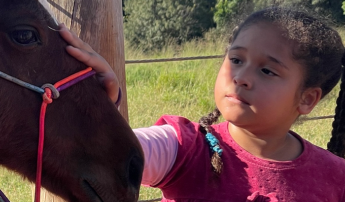 Ajuda para a Ana realizar seu sonho de ter seu próprio cavalo