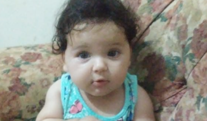 Ajude-nos a pelo menos tentar recuperar a Aninha