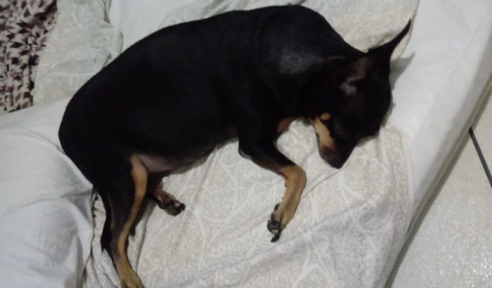 UMA AJUDA PARA TINA!