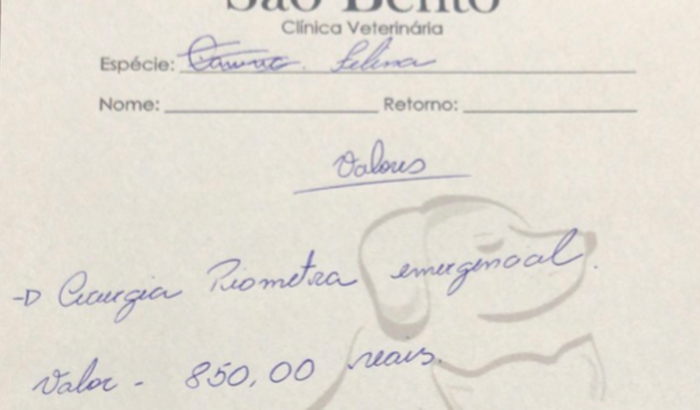 Cirurgia da minha gata