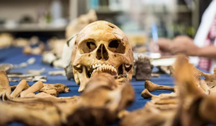 Mestrado Bioarchaeological and Forensic Anthropology