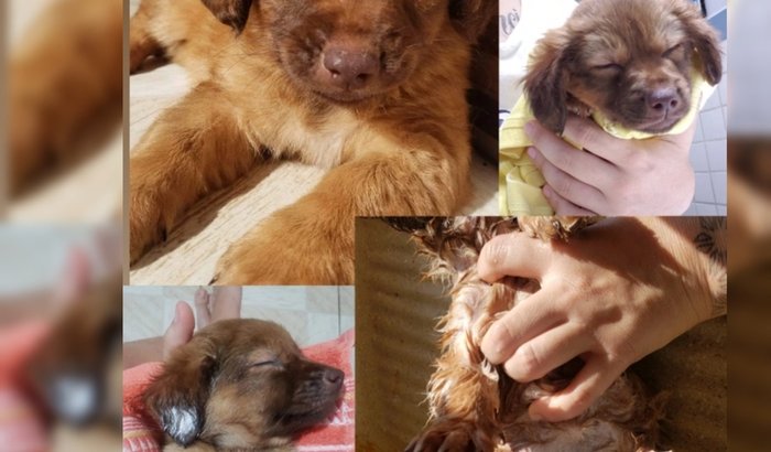 Todos pela NaLa Conrado 