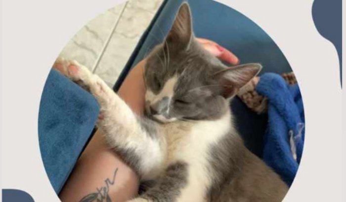 AJUDE O BABALU A VOLTAR A ANDAR