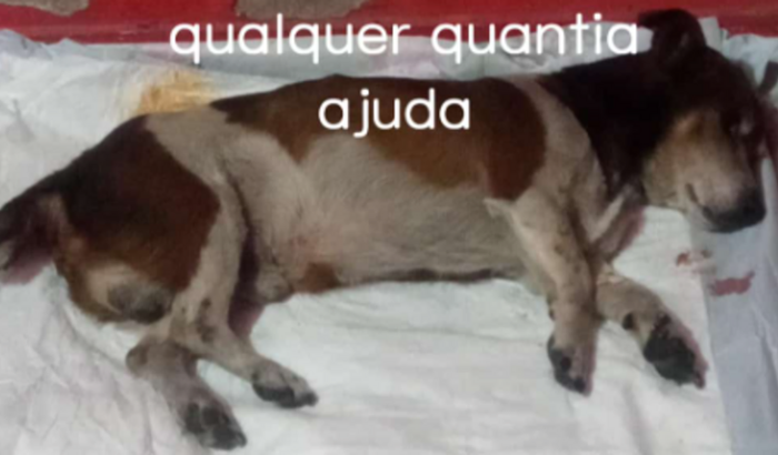 Na cirurgia do sheick