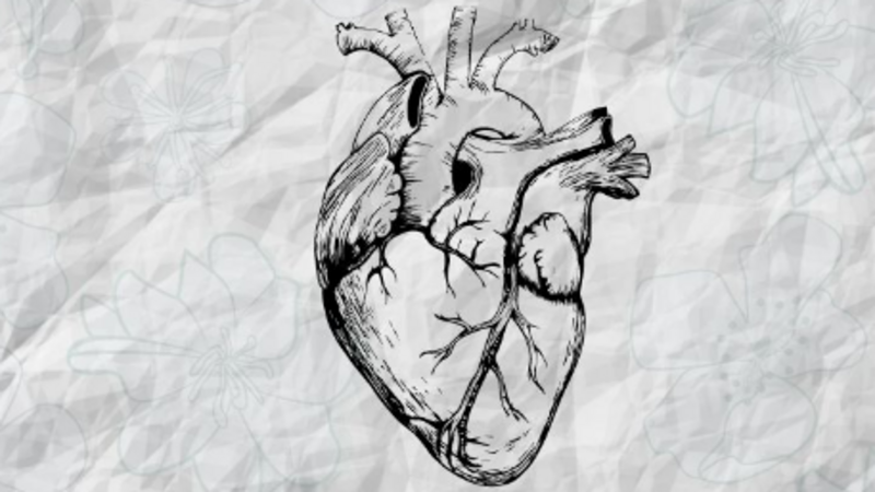 imagem da vaquinha a