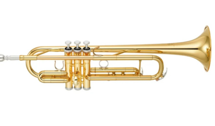 Ajuda destinada a compra de um 🎺  Trompete.