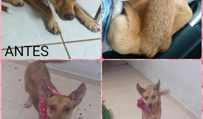 Ajude a Iansã!