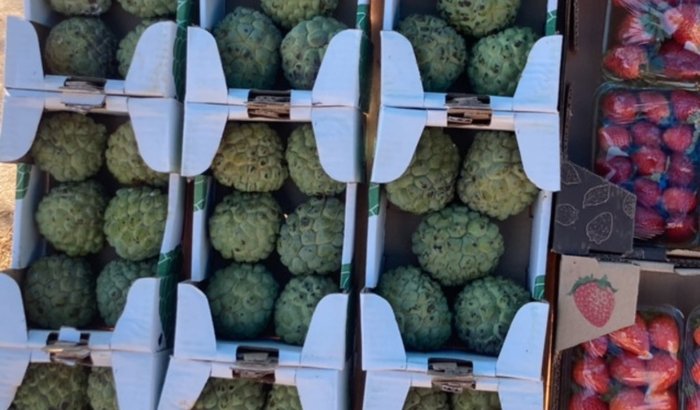 Me ajude a montar minha Frutaria 