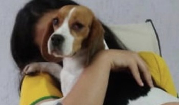 AJUDE A CANJICA VIVER 