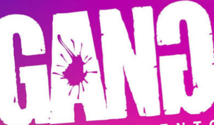 Festa da Gang 18/12/22