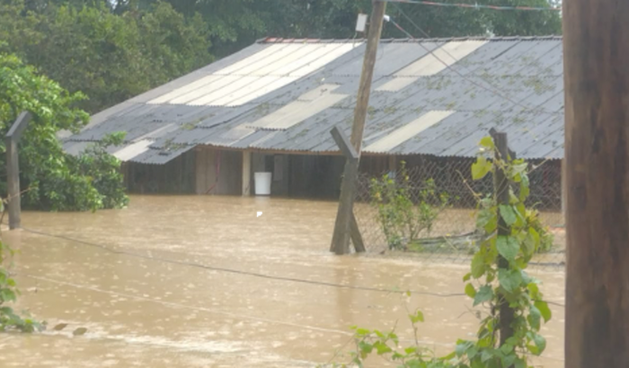 Ajude uma família afetada pela enchente
