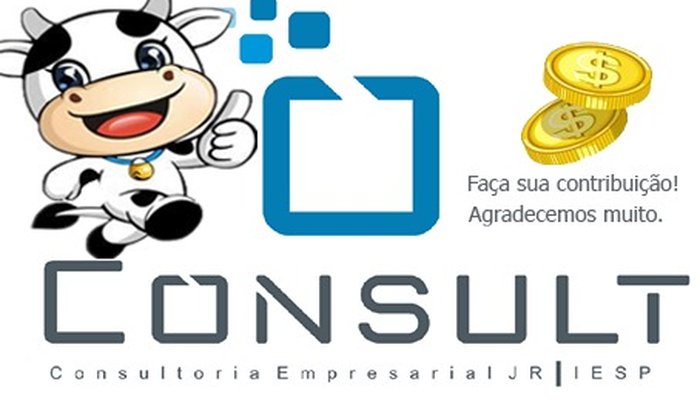 Arrecadação de Fundos para Empresa Júnior