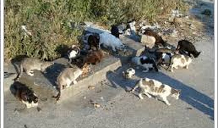 ASPROABO - Arrecadação de Doaçoes