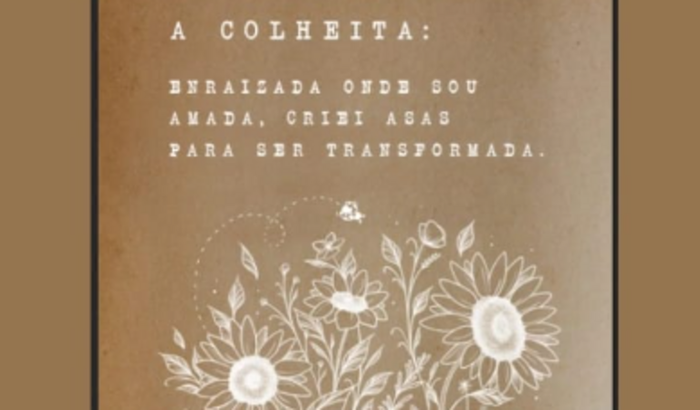 LANÇAMENTO DO LIVRO: A COLHEITA