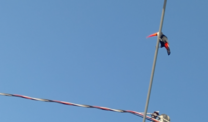 Ajuda para mantar meu negócio do zero 