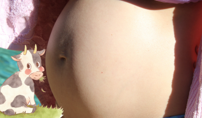 Vaquinha da Boa Hora