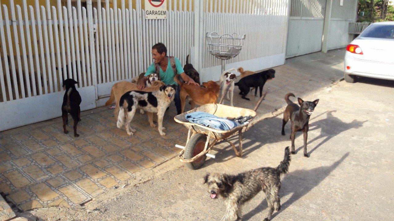 imagem da vaquinha CASTRAÇÃO DOS CÃES DO CLAUDIO