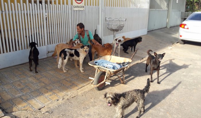 CASTRAÇÃO DOS CÃES DO CLAUDIO