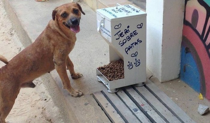 SOBRE PATAS