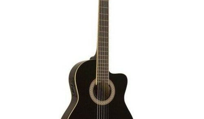 Um violão pra Flor fazer shows