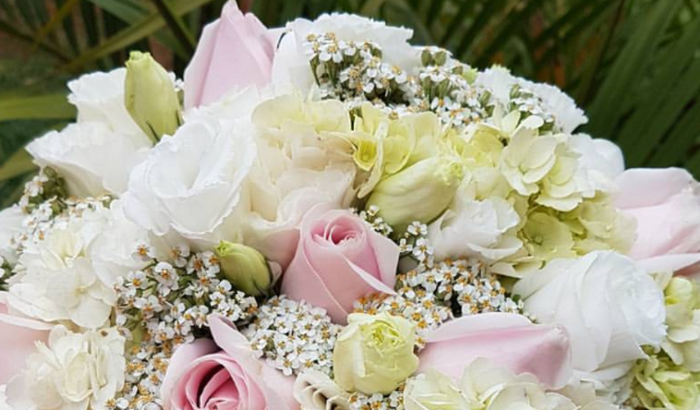 Casamento da minha afilhada 