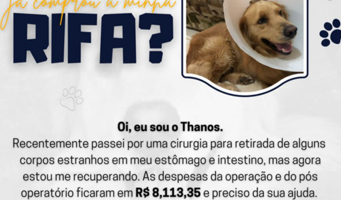 Vakinha do Thanos