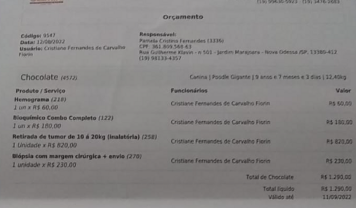 Ajude meu Filho de 4 patas