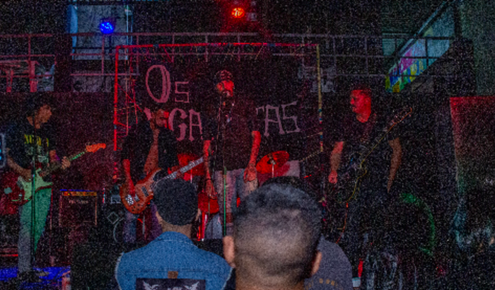 Banda OS VIGARISTAS (Produção)