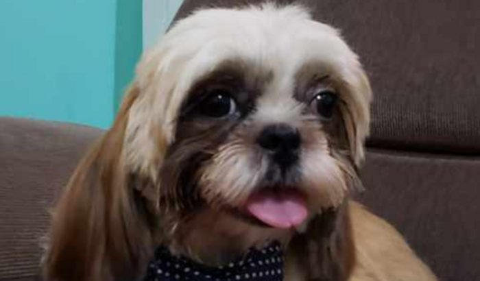 OLHOS PARA O THOR