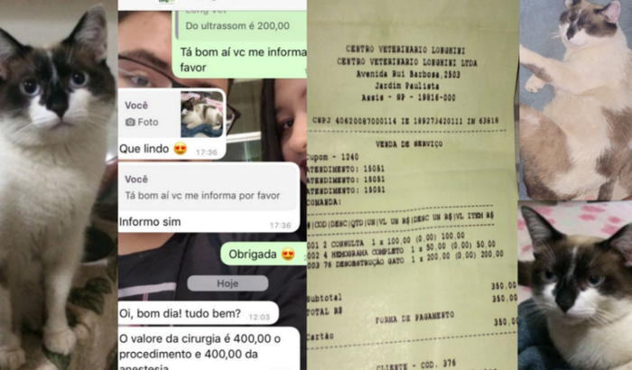 Cirurgia do Zequinha