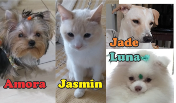 Sua ajuda jamais será esquecida