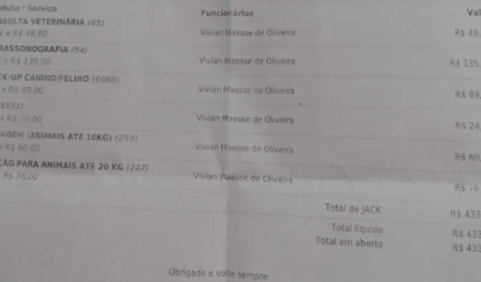 Gatinho jack