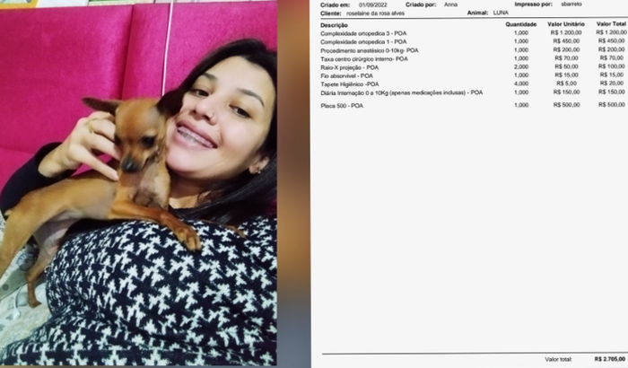 Cirurgia minha cachorrinha Luna