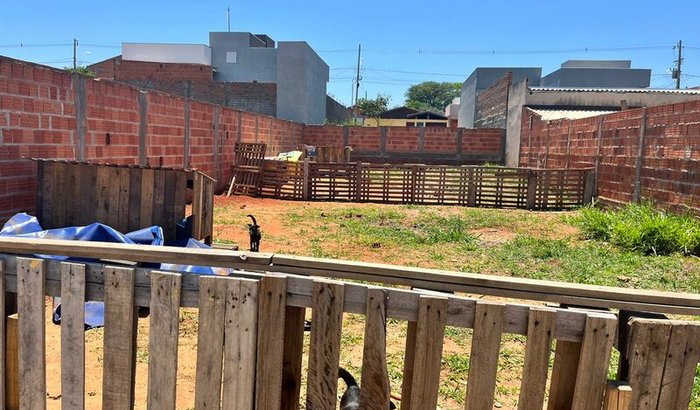 Ajuda para Cachorros Abandonados 