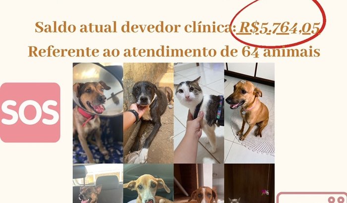 Ajuda os meus resgatados? 