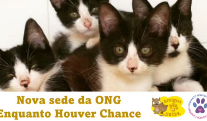 Nova sede para o Enquanto Houver Chance