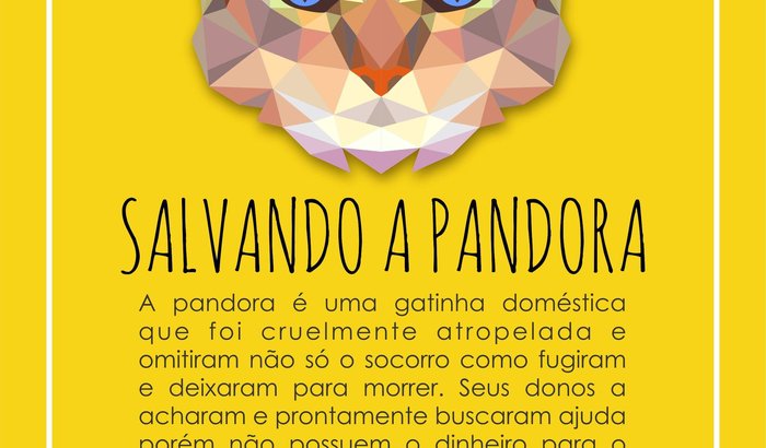 SALVANDO A PANDORA