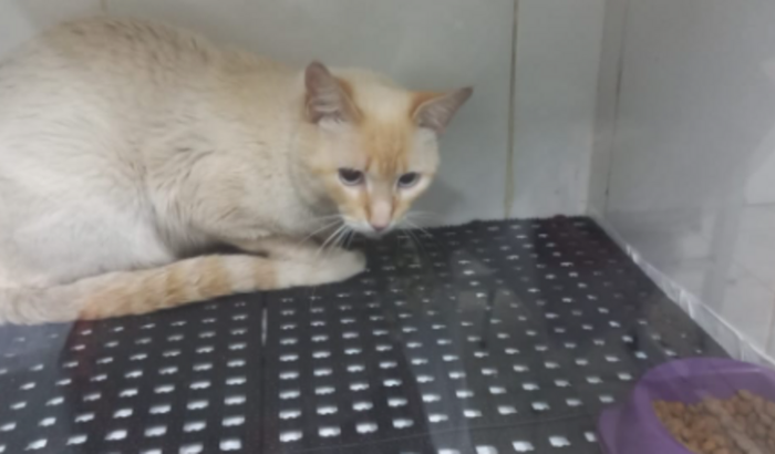 Ajude meu filhinhoðŸ˜ðŸ˜”