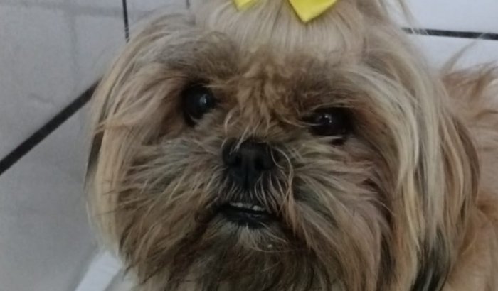 Ajudem a Hanna!