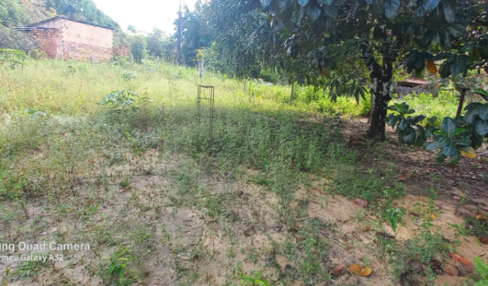 Abrir negócio para desemprego 